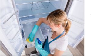 how to clean your refrigerator?